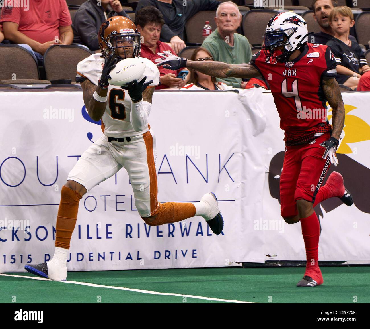 Jacksonville, Floride, États-Unis. 1er juin 2024. Ligue de football en salle, Jacksonville Sharks vs Arizona Rattlers. Rattlers WR Corey Reed Jr. (6) attrape la balle bien devant Sharks DB de'Jahn Warren (4). Crédit photo : Tim Davis/Alamy Live News Banque D'Images