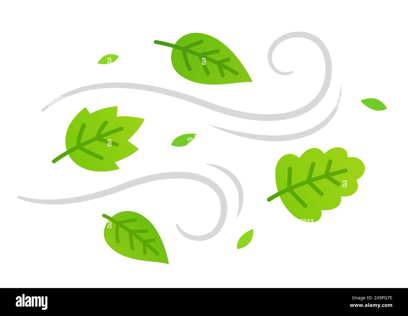 Feuilles d'arbre vertes dans le vent soufflant. Illustration vectorielle de dessin animé simple. Illustration de Vecteur