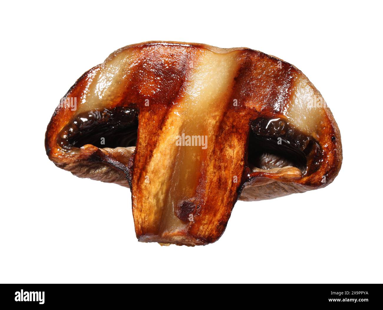 Tranche de champignon grillé isolée sur blanc Banque D'Images