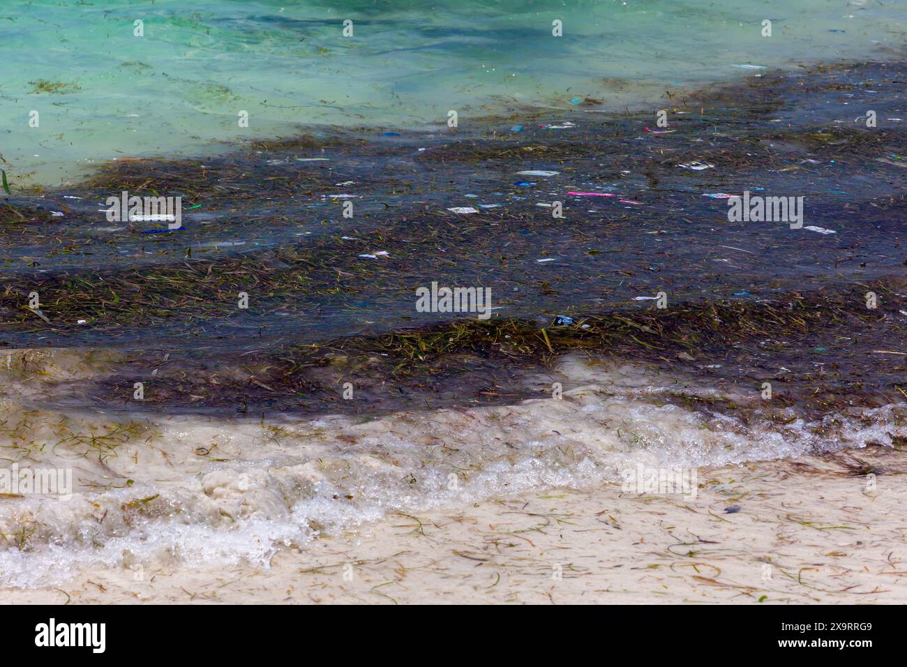 Sacs en plastique et autres déchets flottant sur le rivage de la plage de Tanjung aan sur l'île de Lombok Banque D'Images