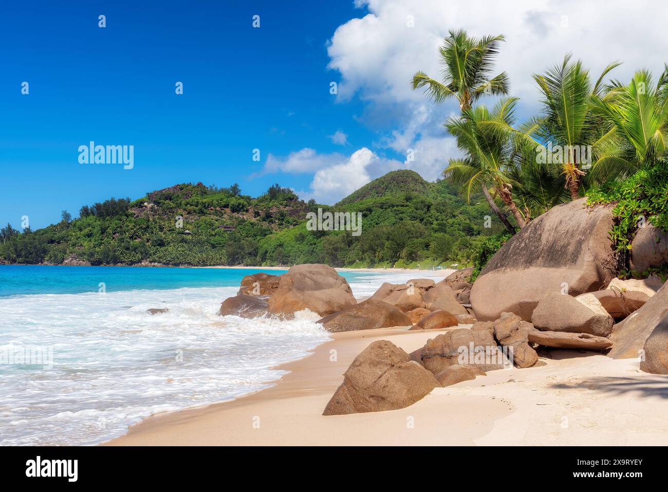 Belle plage sur l'île des Seychelles. Cocotiers, beaux rochers et mer tropicale. Banque D'Images