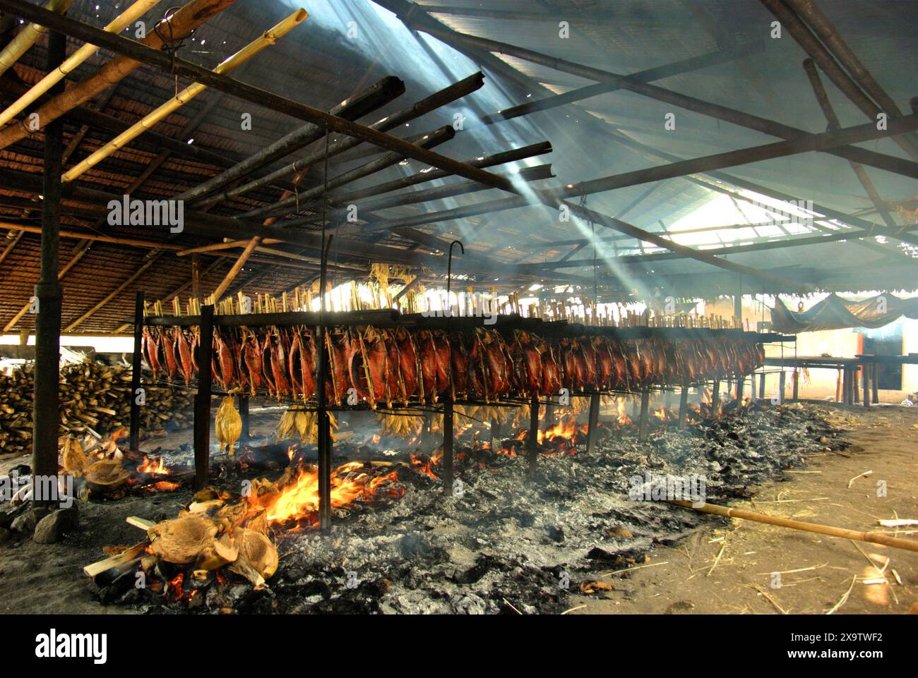 Vue d'un atelier de production de poisson fumé qui utilise des viandes de thon listao dans une industrie domestique à Bitung, Sulawesi du Nord, Indonésie. Banque D'Images