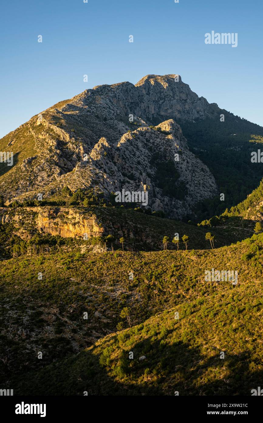 Puig de Galatzó, 1027 metros de altura, Sierra de Tramuntana, Majorque, Iles Baléares, Espagne Banque D'Images