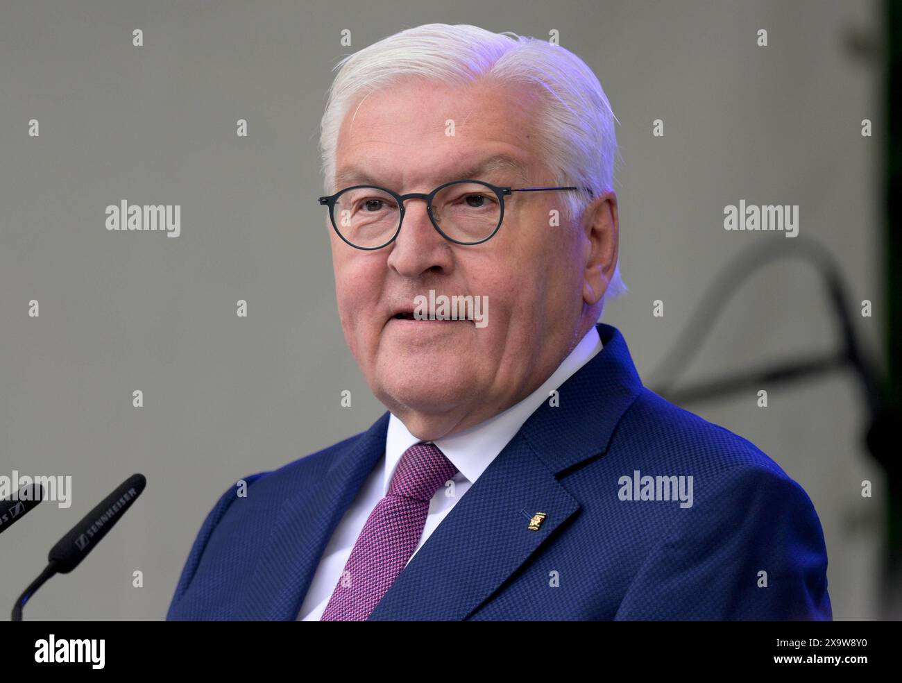Bundespraesident Frank-Walter STEINMEIER haelt eine Rede beim Fest zum 75. Geburtstag des Grundgesetzes in der Villa Hammerschmidt in Bonn , 25.05.2024 Frank-Walter STEINMEIER , Président de l'Allemagne , 25.05.2024 *** le Président allemand Frank Walter STEINMEIER prononce un discours à l'occasion de la célébration du 75ème anniversaire de la Loi fondamentale à la Villa Hammerschmidt à Bonn , 25 05 2024 Frank Walter STEINMEIER , Président de l'Allemagne , 25 05 2024 Banque D'Images