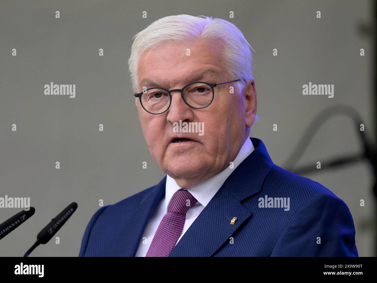 Bundespraesident Frank-Walter STEINMEIER haelt eine Rede beim Fest zum 75. Geburtstag des Grundgesetzes in der Villa Hammerschmidt in Bonn , 25.05.2024 Frank-Walter STEINMEIER , Président de l'Allemagne , 25.05.2024 *** le Président allemand Frank Walter STEINMEIER prononce un discours à l'occasion de la célébration du 75ème anniversaire de la Loi fondamentale à la Villa Hammerschmidt à Bonn , 25 05 2024 Frank Walter STEINMEIER , Président de l'Allemagne , 25 05 2024 Banque D'Images
