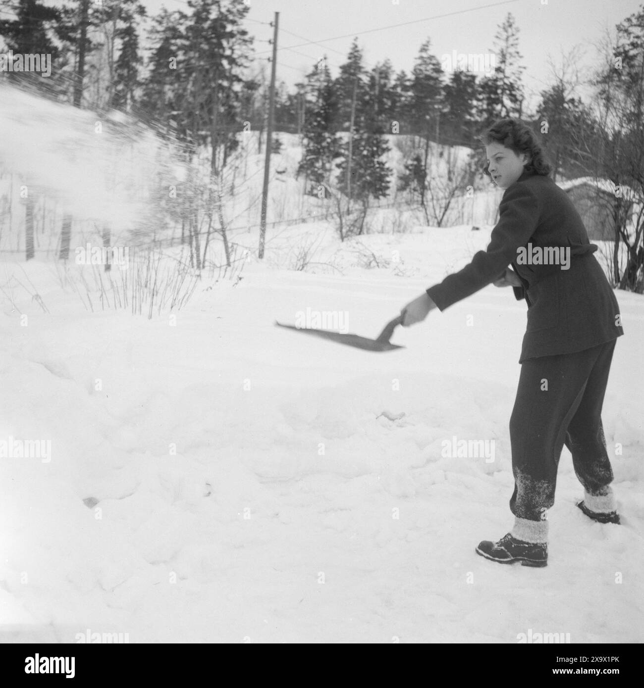 Aktuell 07-08-1946 : Margaret Bergersen fra Bergen. Eventyrlig flink 11-åring. Hun var 11 år da krigen brøt ut og som 13-åring kom Hun i kontakt Med hjemmefronten. Hun reddet hundrevis av russiske krigsfanger og 8 ganger ble hunn arrêert. Nå Bor Hun hos den sovjetiske handelsattasjeen i påvente av reise til Sovjetunionen. Foto : th. Skotaam / Aktuell / NTB ***Foto er ikke bildebehandlet*** le texte de cette image est traduit automatiquement Banque D'Images