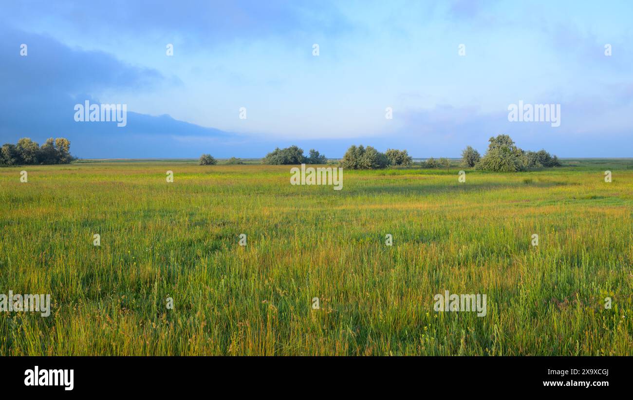 Prairie dans le parc national du lac Neusiedl Seewinkel par un matin ensoleillé au printemps Banque D'Images