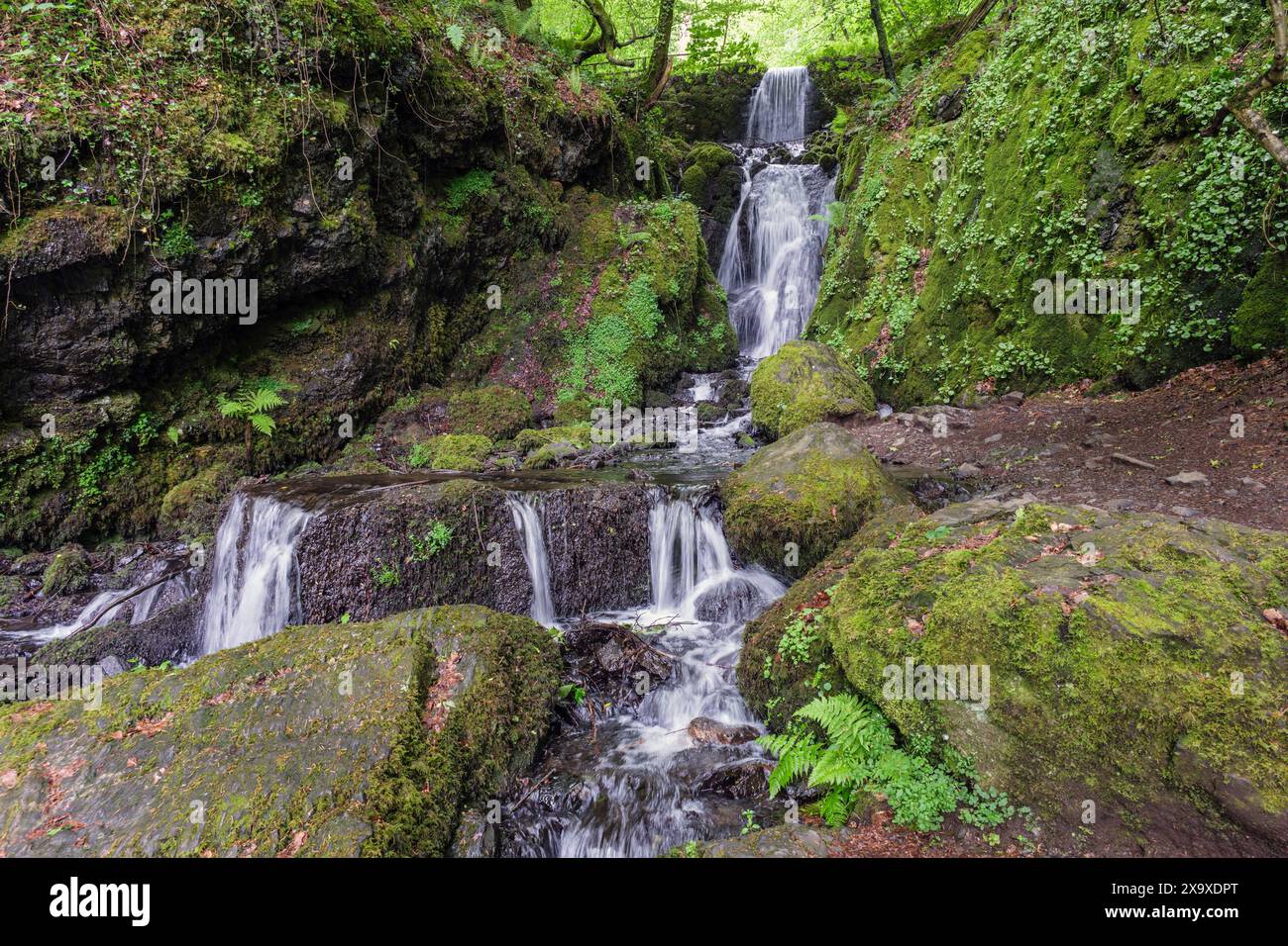 Clampit Falls, Canonteign Estate, Devon Banque D'Images