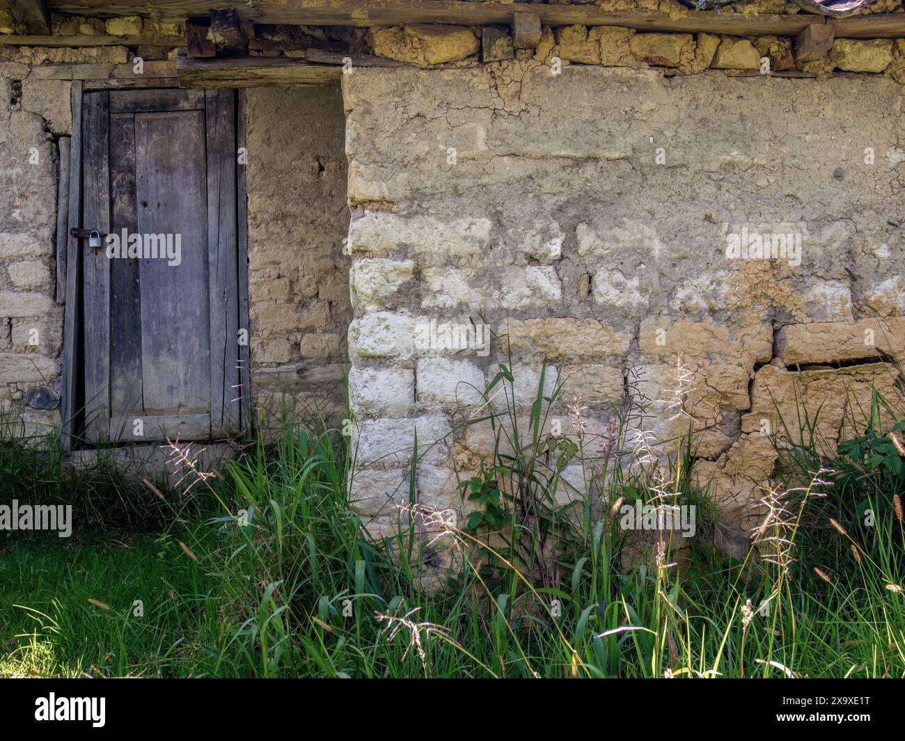 Façade d'un ancien hangar en adobe avec porte en bois, dans une ferme dans les montagnes andines orientales du centre de la Colombie. Banque D'Images