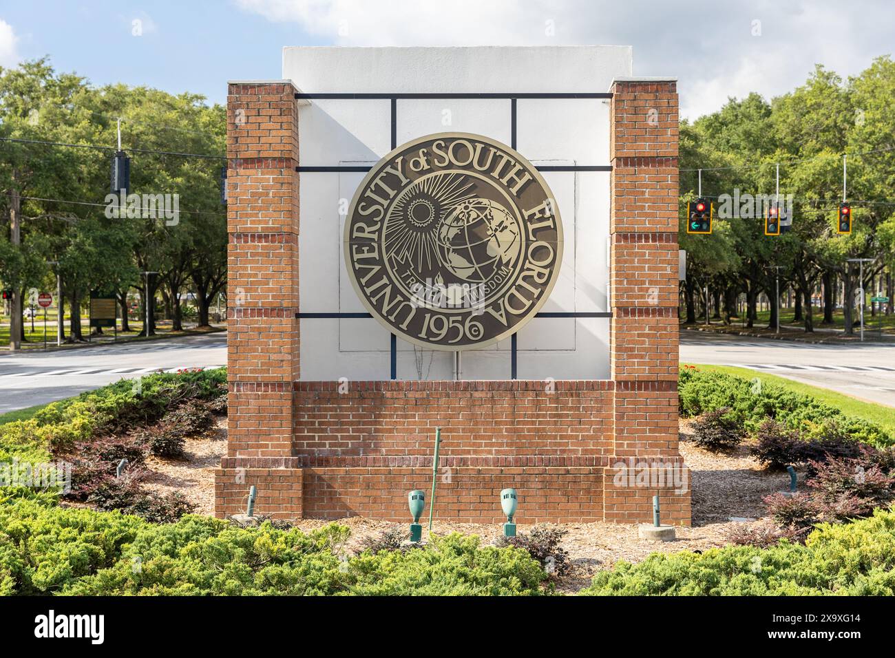 L'Université de Floride du Sud est une université de recherche publique avec son campus principal à Tampa, Floride. Leur mascotte est les Bulls. Banque D'Images