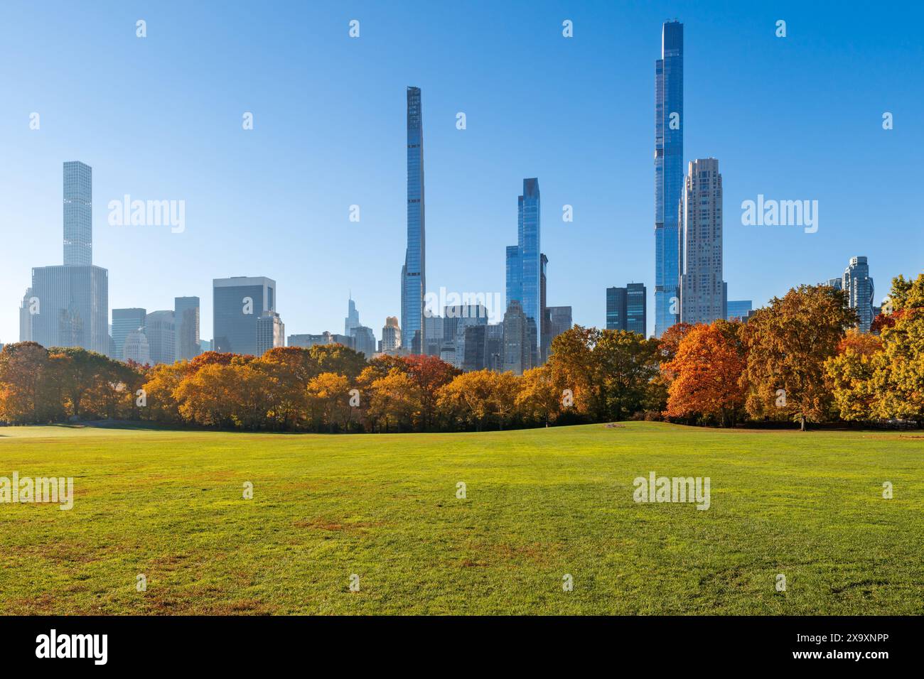 Matin dans Central Park Sheep Meadow avec pelouse et arbres. Feuillage d'automne et paysages emblématiques de Billionaires' Row. Manhattan, New York Banque D'Images