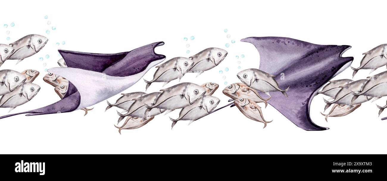 Raies manta violettes nageant avec un banc de poissons. Conception de récif corallien sous-marin de la mer frontalière sans couture. Illustration d'aquarelle dessinée à la main isolée Banque D'Images