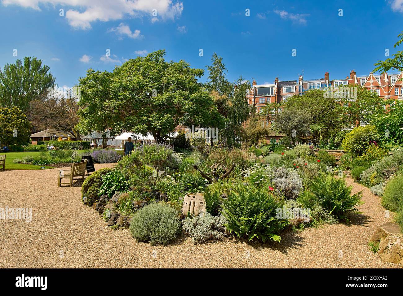 Chelsea Physic Garden un ciel bleu au-dessus du petit étang et de la grande variété de plantes au printemps Banque D'Images