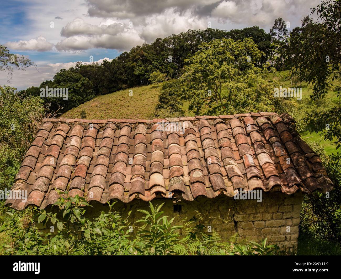 L'ancien toit traditionnel en tuiles d'argile d'un ancien hangar, dans une ferme dans les montagnes andines orientales du centre de la Colombie. Banque D'Images
