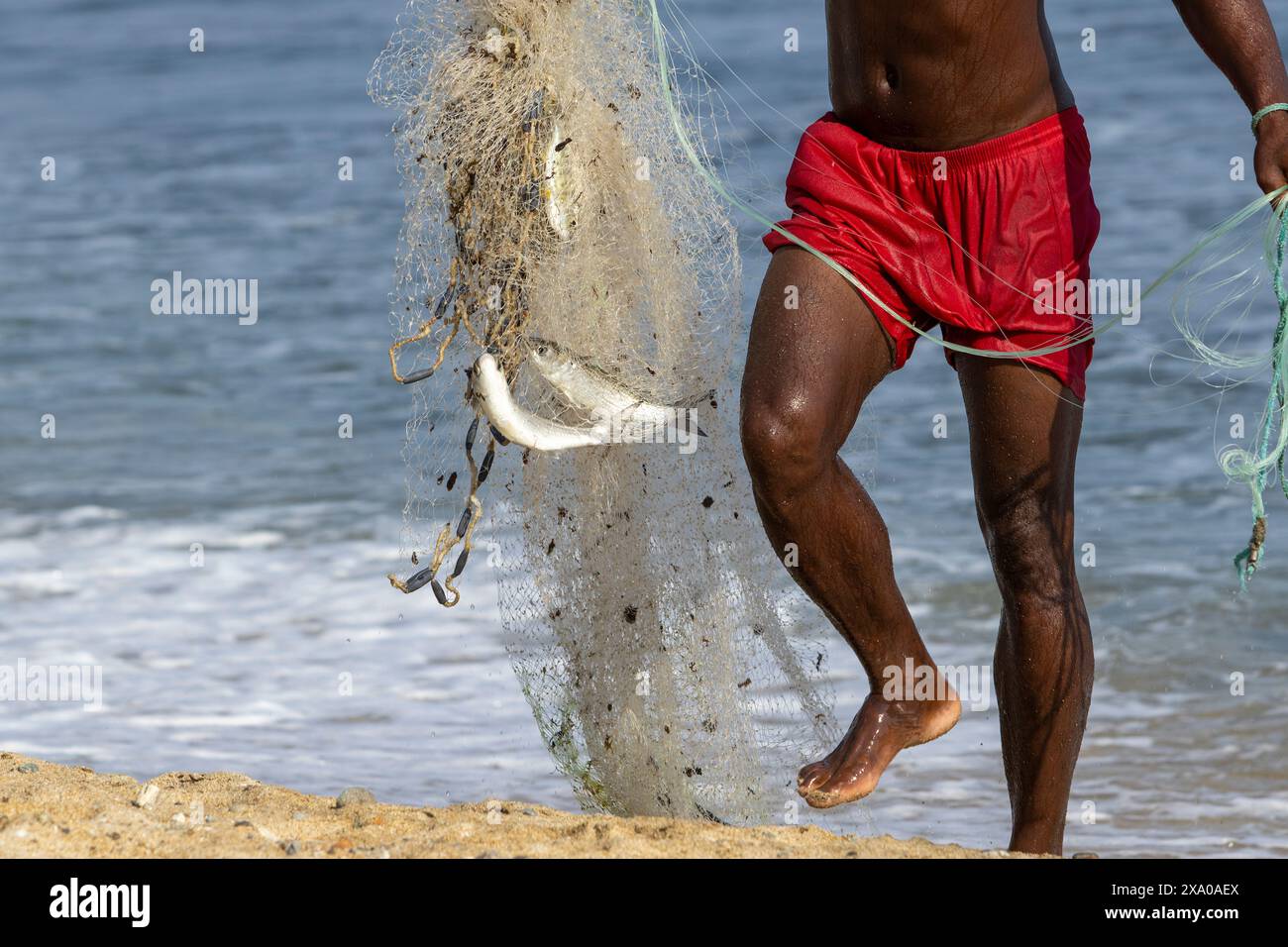 Un homme tirant dans un filet de pêche avec une prise réussie Banque D'Images