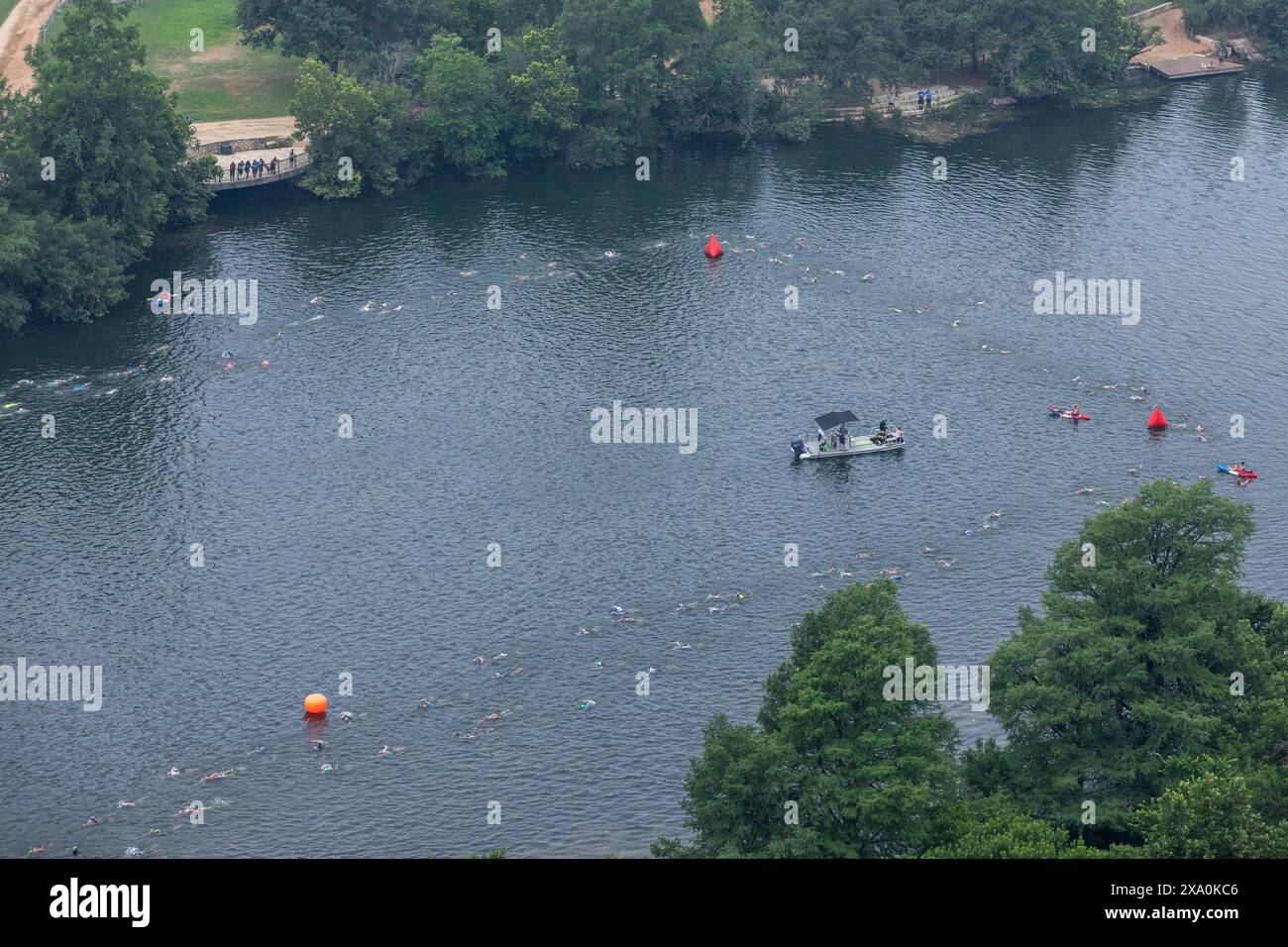 Partie natation du Triathlon olympique d'Austin à Ladybird Lake, Austin, Texas Banque D'Images