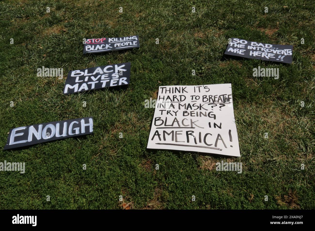 Les affiches Black Lives Matter sur la pelouse verte du parc Banque D'Images