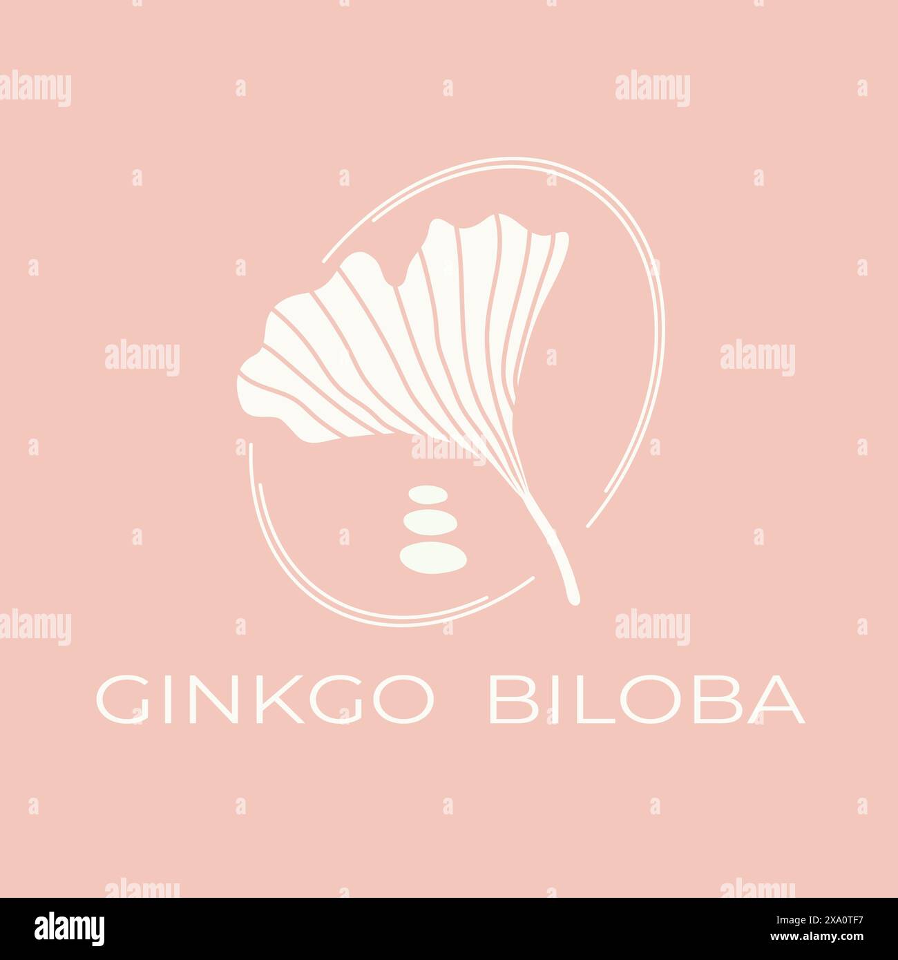 Logo de feuille de Ginkgo biloba. Emblème botanique naturel. Illustration vectorielle Illustration de Vecteur
