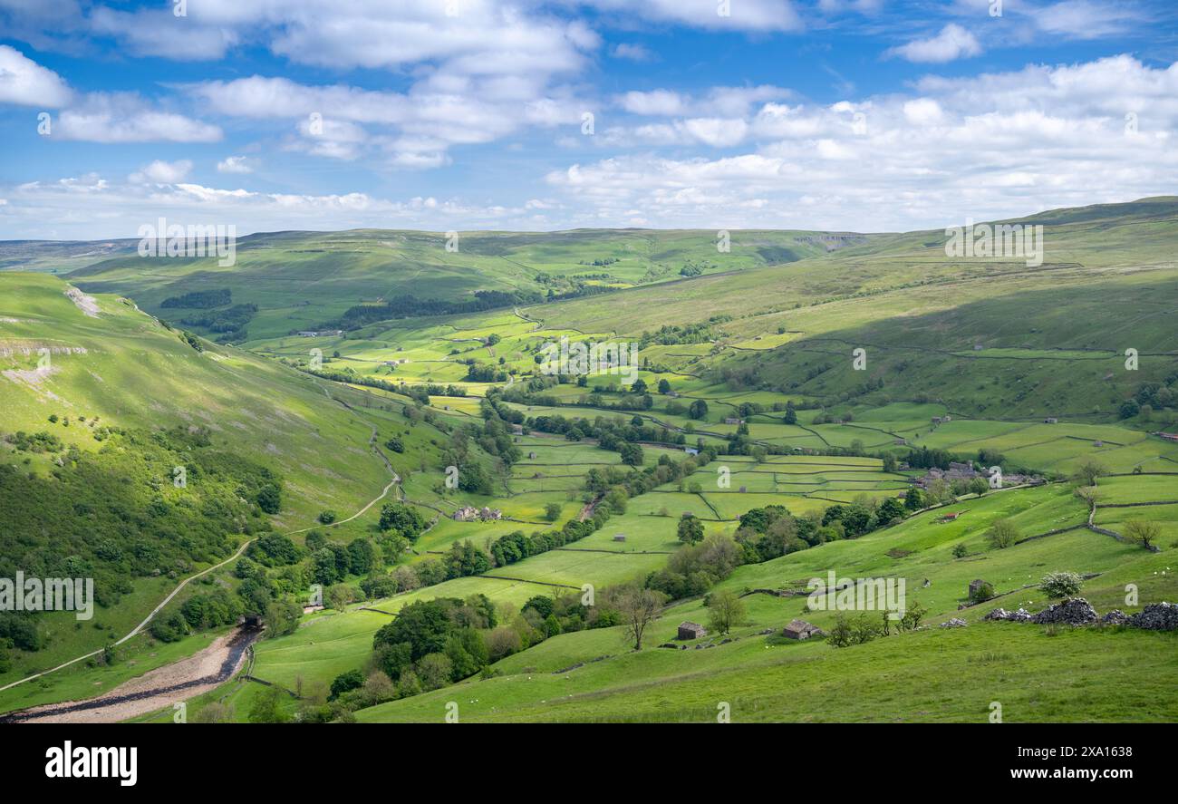 Vue sur Swaledale depuis Kisdon Hill depuis Muker au début de l'été. Parc national des Yorkshire Dales, Royaume-Uni. Banque D'Images