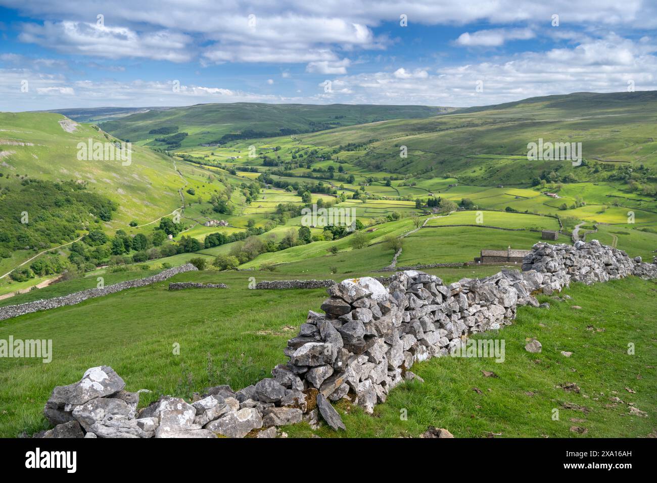 Vue sur Swaledale depuis Kisdon Hill depuis Muker au début de l'été. Parc national des Yorkshire Dales, Royaume-Uni. Banque D'Images