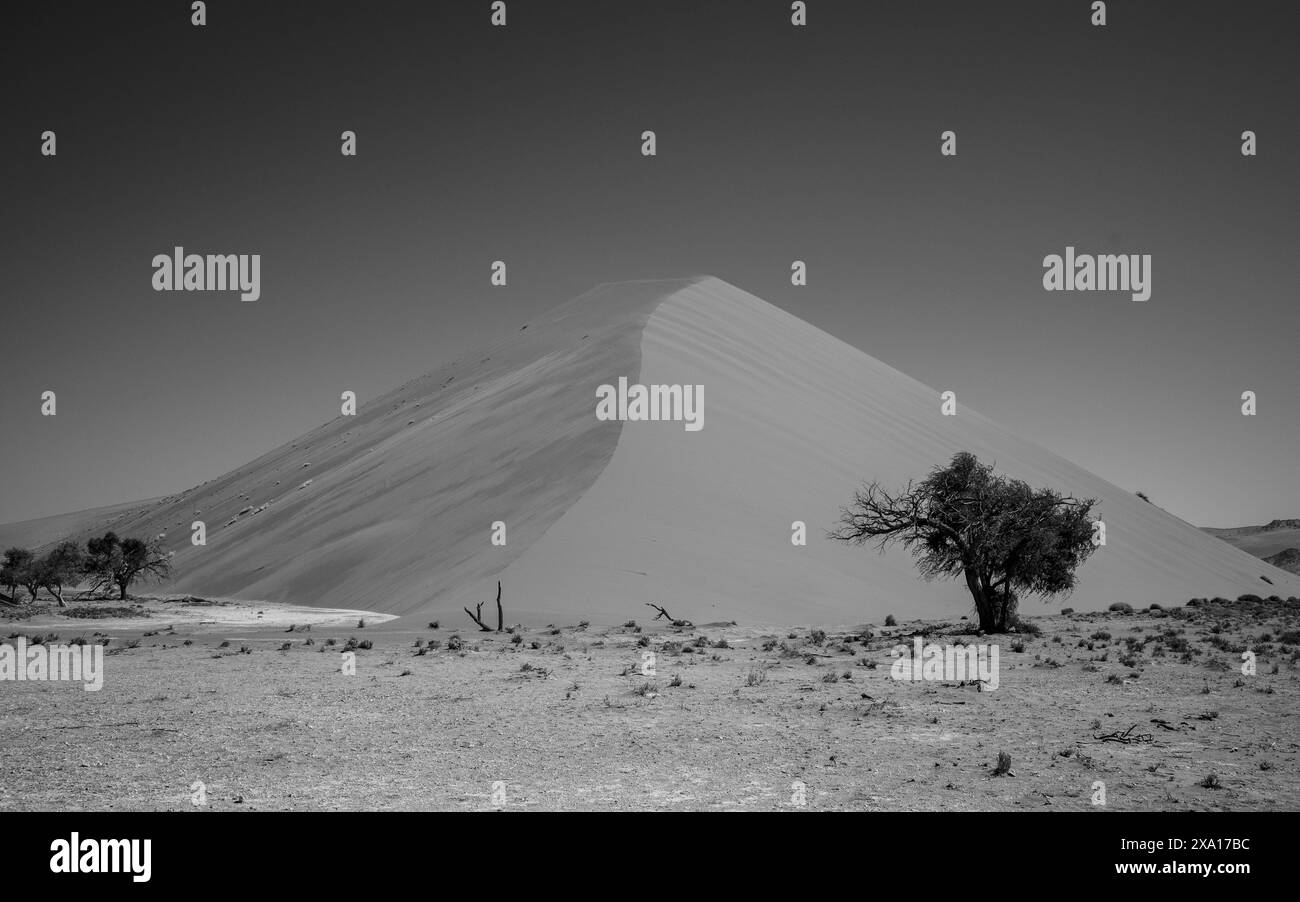 Un arbre solitaire debout au sommet d'une colline massive Banque D'Images