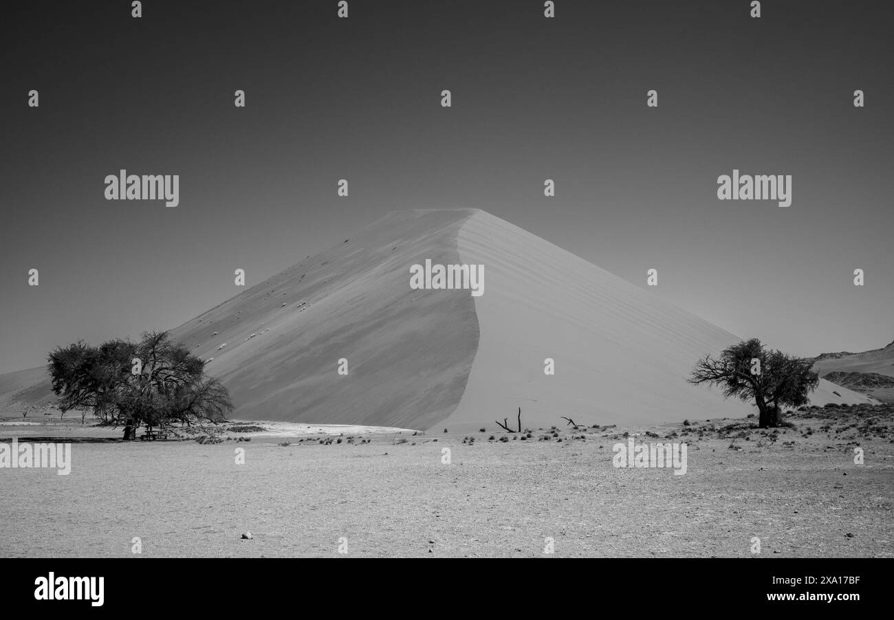 Une dune de sable solitaire avec des arbres et de la faune au loin Banque D'Images