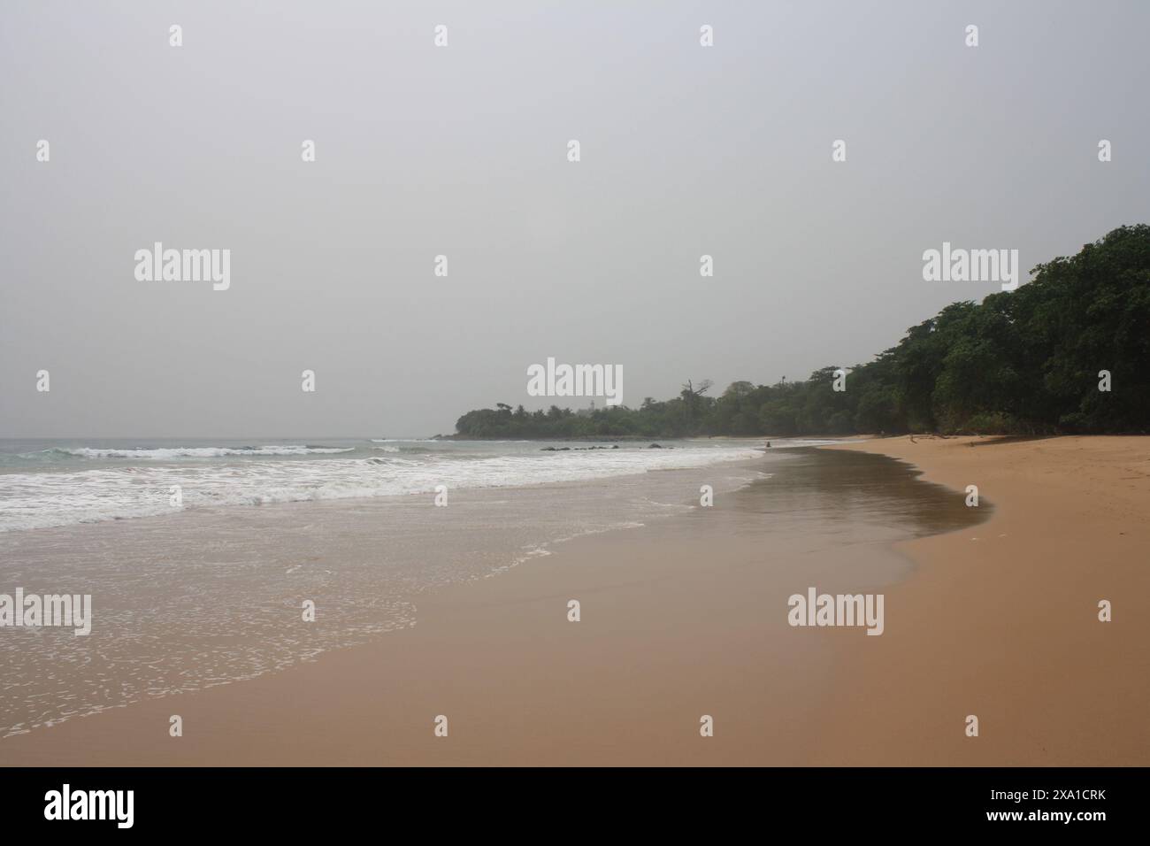 Une scène de plage sereine avec des vagues douces lançant contre le rivage. La plage de sable est bordée par une végétation luxuriante, créant un co tranquille et pittoresque Banque D'Images