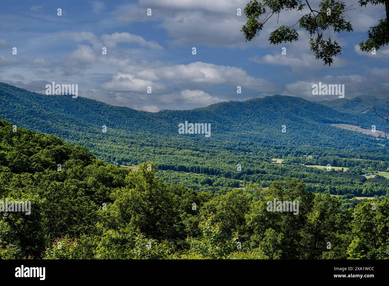 Bedford, Virginie, États-Unis — 1er juin 2024. Une photo surplombant la vallée de la Shenandoah près des sommets de Otter près de Roanoke Virginia. Banque D'Images