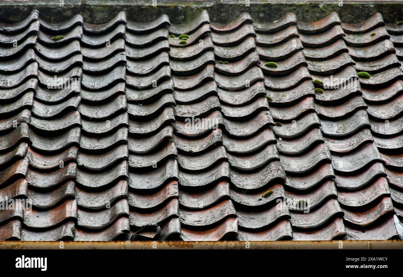 Gros plan d'un toit en tuiles d'ardoise Banque D'Images