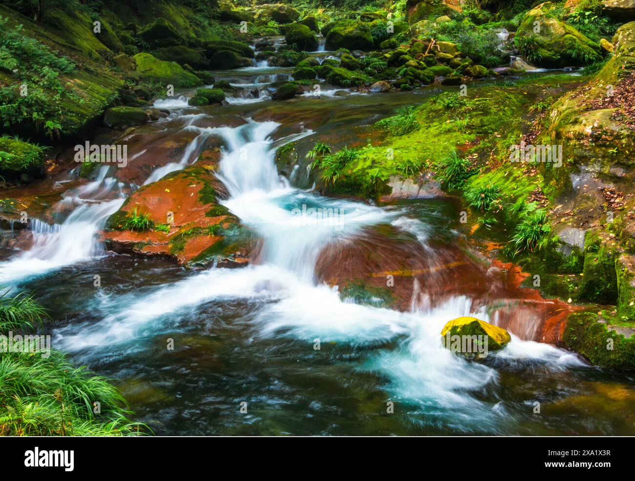 Un ruisseau coulant dans un cadre forestier verdoyant avec des rochers et de l'herbe Banque D'Images