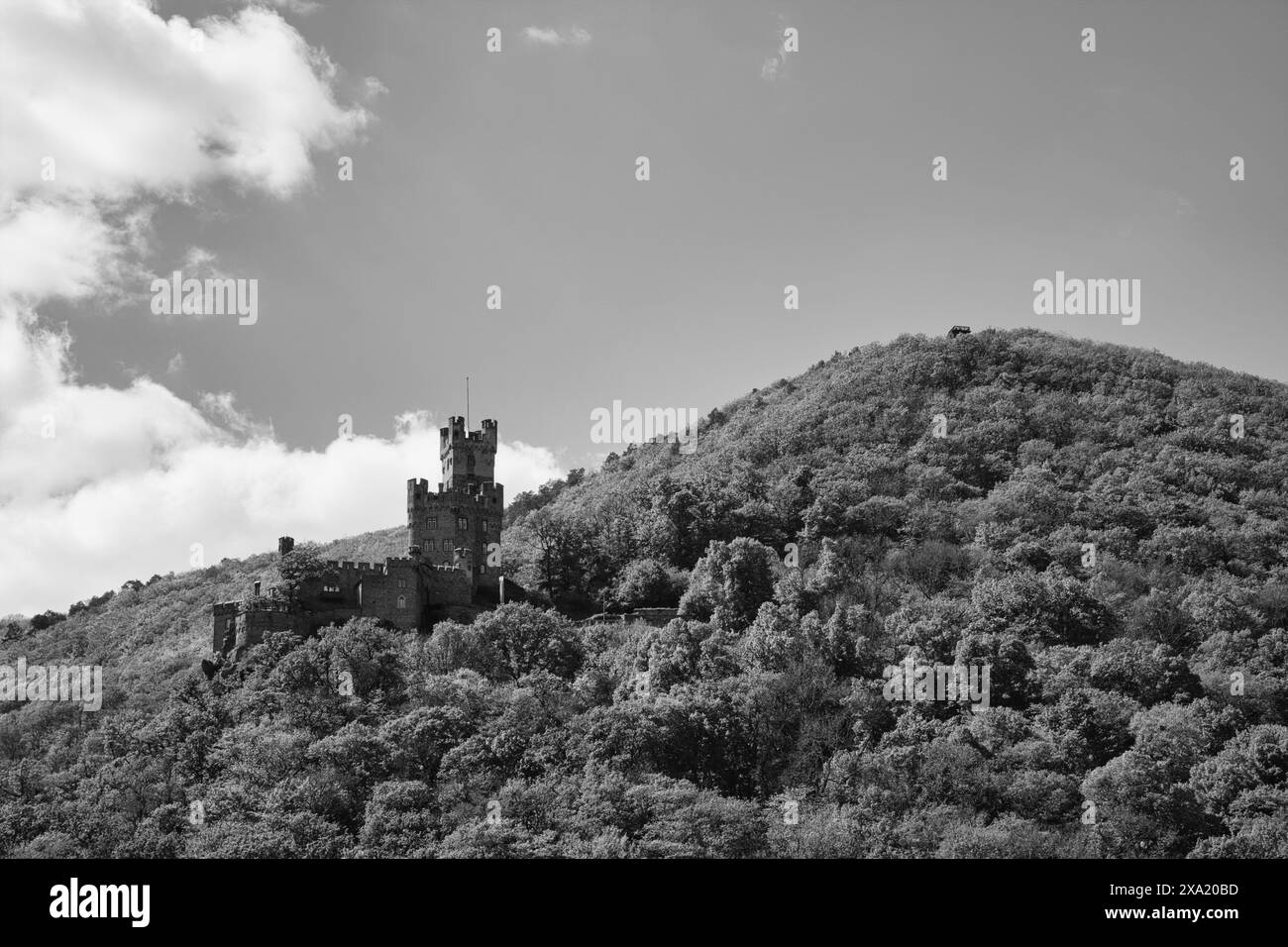 Image monochrome d'un château debout sur une colline Banque D'Images