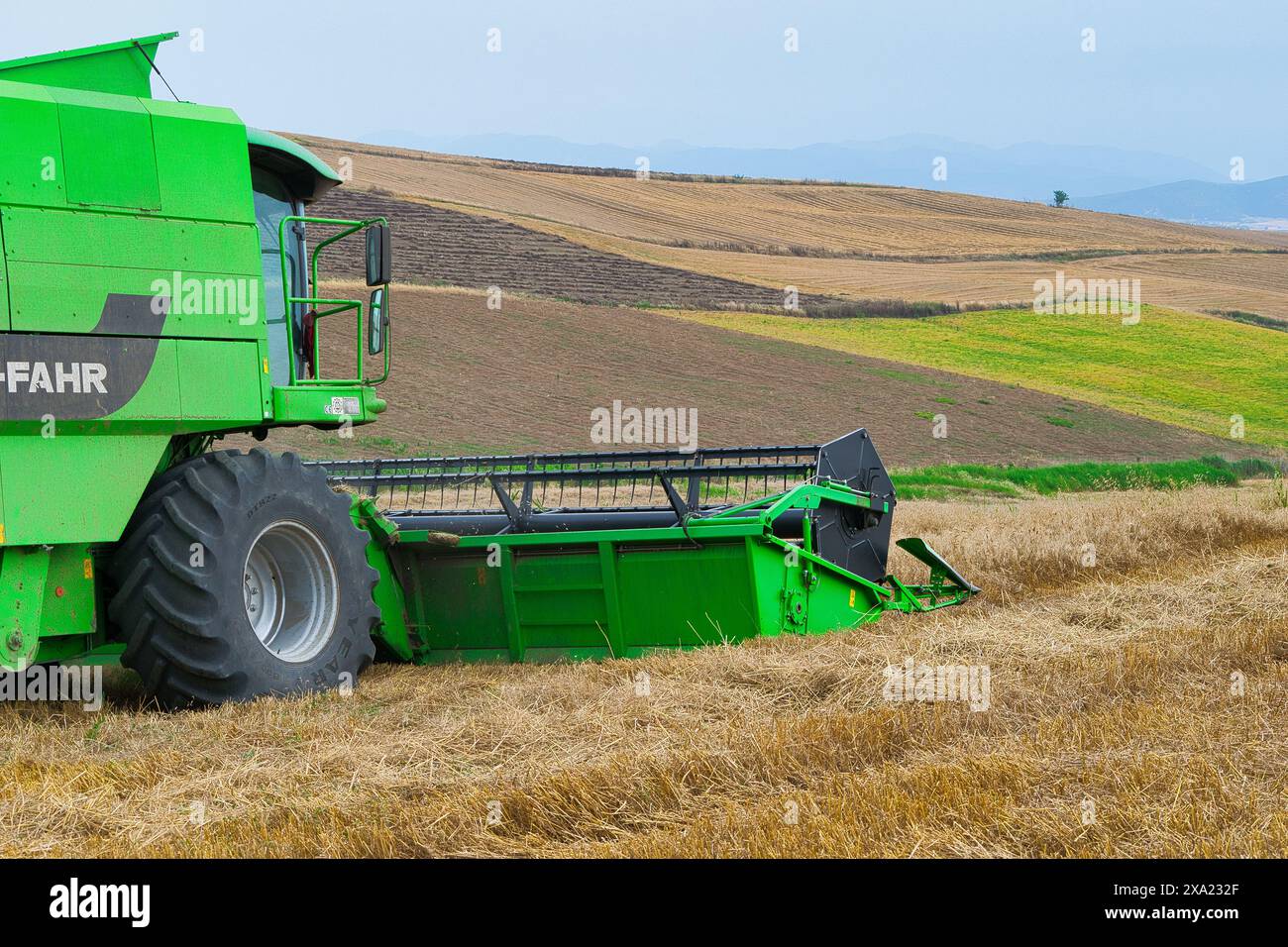 Machine de récolte récolteuse de champ de blé. L'agriculture Banque D'Images