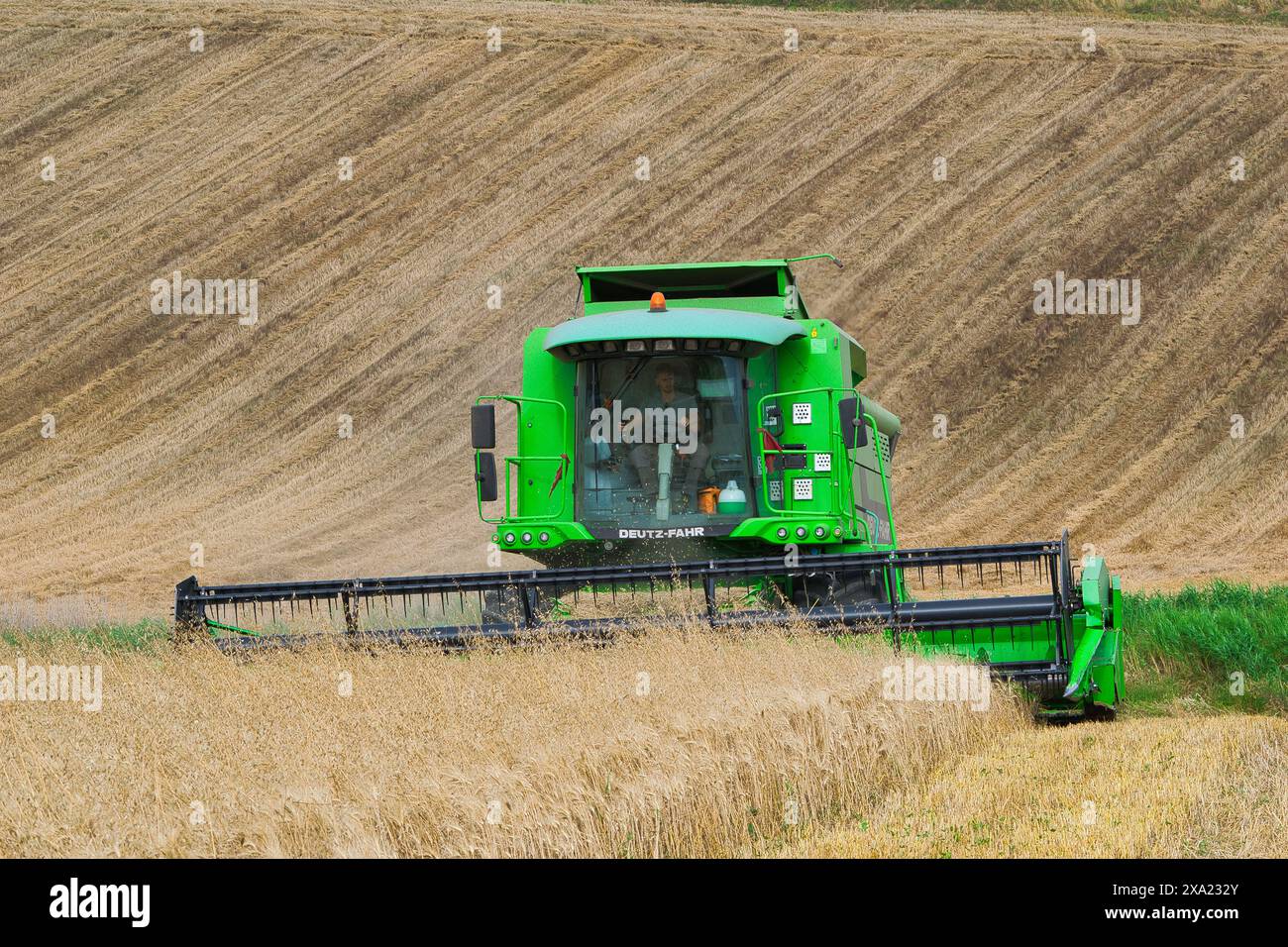 Machine de récolte récolteuse de champ de blé. L'agriculture Banque D'Images