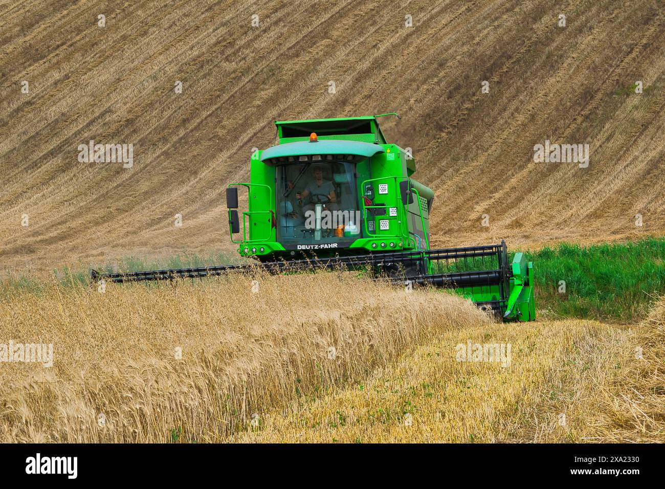 Machine de récolte récolteuse de champ de blé. L'agriculture Banque D'Images
