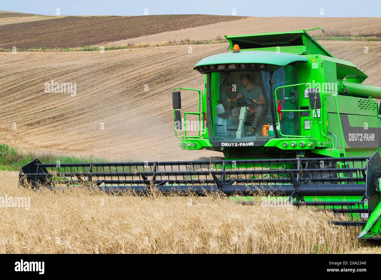 Machine de récolte récolteuse de champ de blé. L'agriculture Banque D'Images