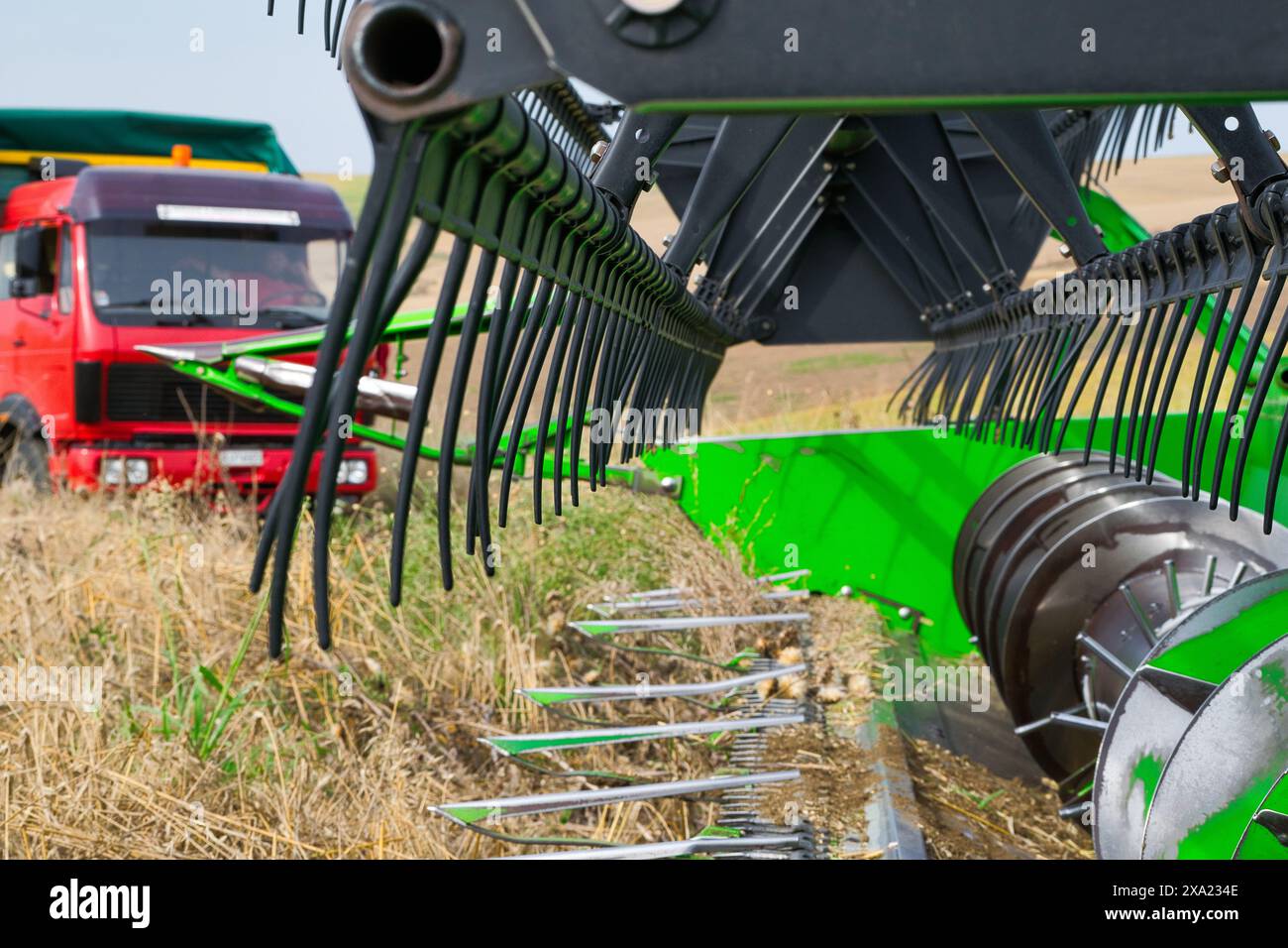 récolteuse au travail récoltant un champ de blé. Banque D'Images