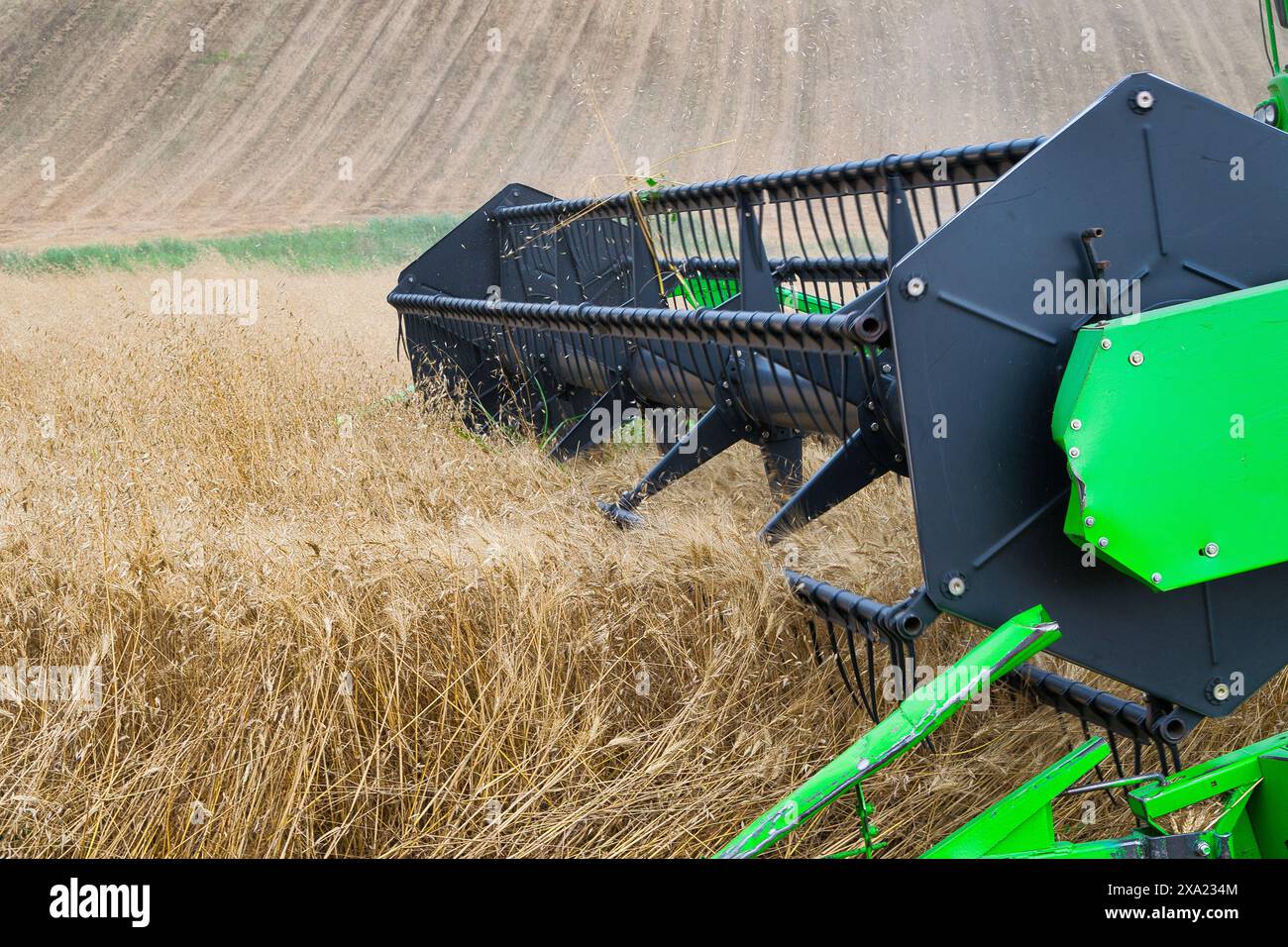 récolteuse au travail récoltant un champ de blé. Banque D'Images