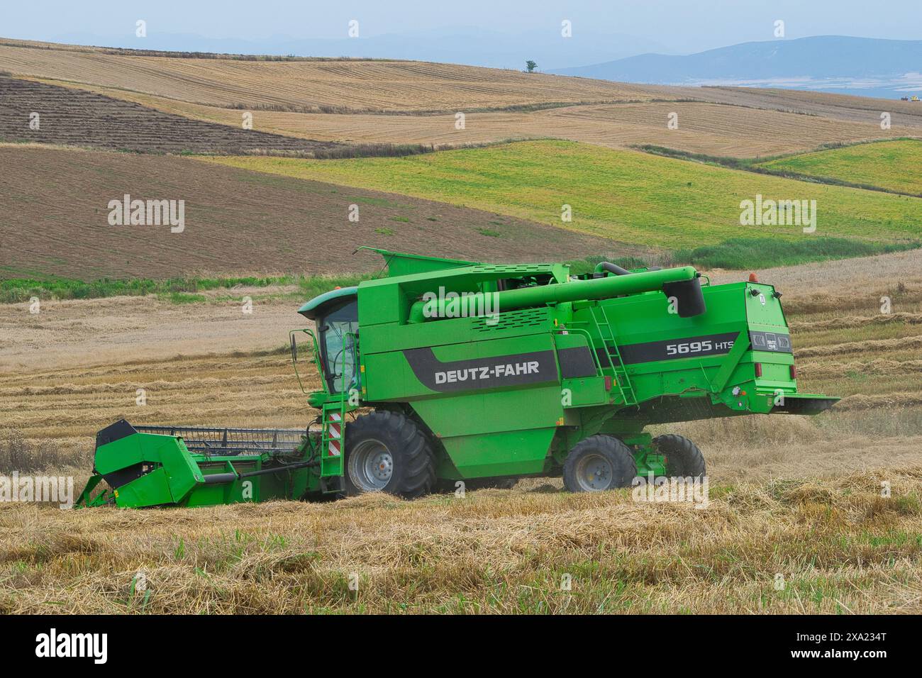 Machine de récolte récolteuse de champ de blé. L'agriculture Banque D'Images