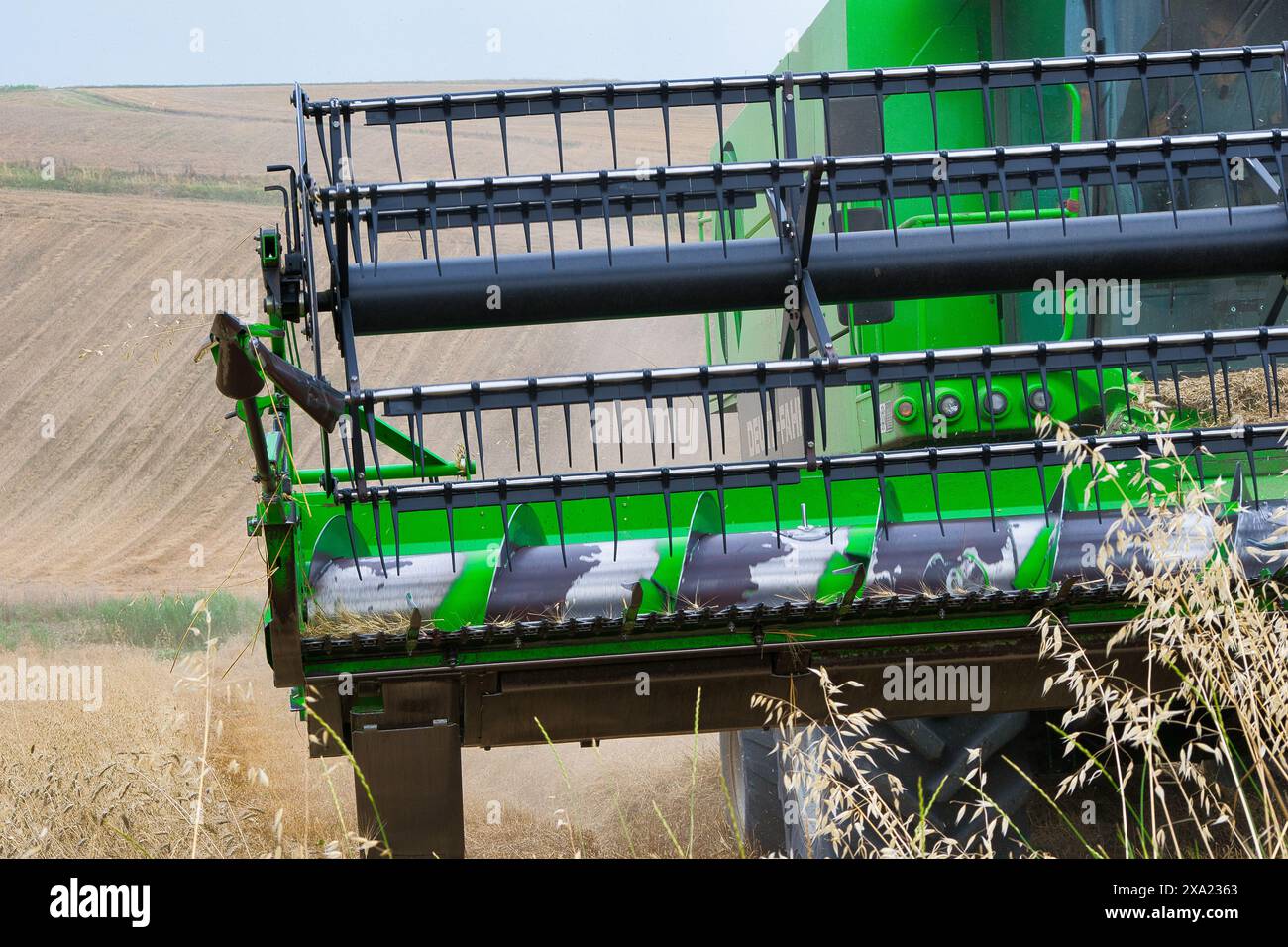 récolteuse au travail récoltant un champ de blé. Banque D'Images