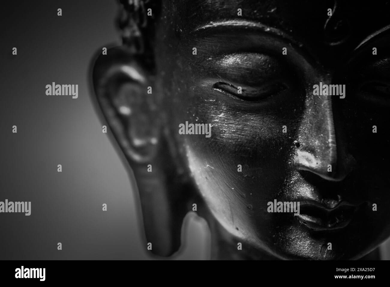 Une statue de Bouddha de teinte foncée capturée dans cette image Banque D'Images
