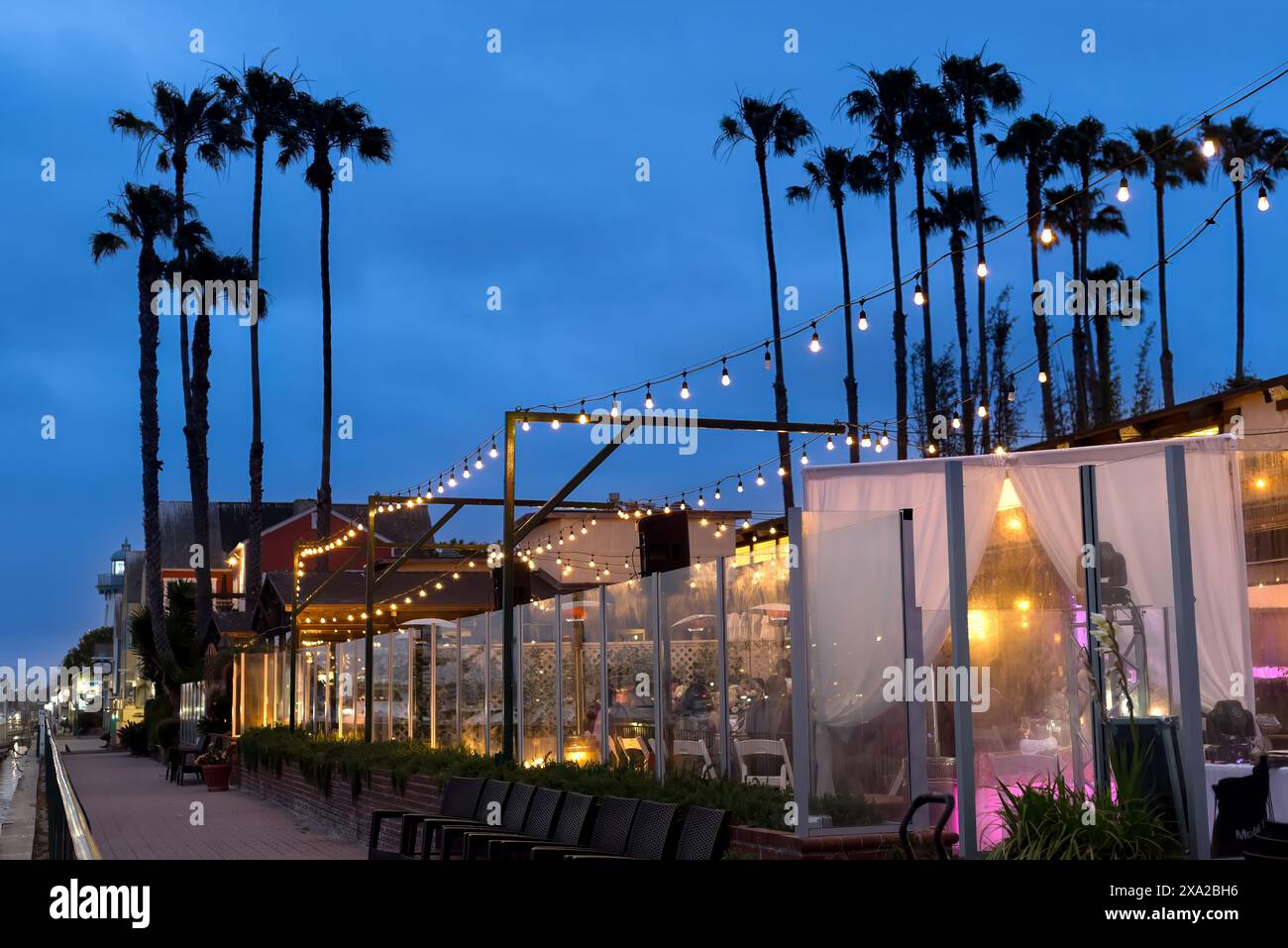 Vue nocturne sur les palmiers et les lumières éclairées à l'extérieur d'un restaurant désert Banque D'Images