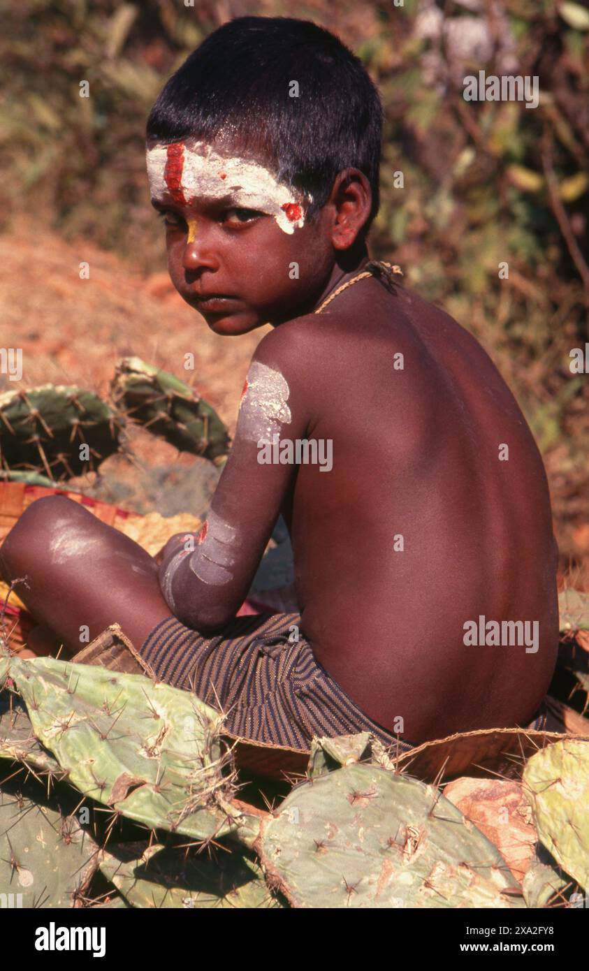 Inde : un jeune fakir ou yogi, Saundatti, Karnataka (1994). Chaque année, au mois hindou de Magh (janvier - février), plus d'un demi-million de personnes se rassemblent autour du petit temple de la déesse Yellamma à Saundatti. Yellamma est la patronne des devadasi ou des femmes dédiées au service d'une divinité ou d'un temple. Banque D'Images