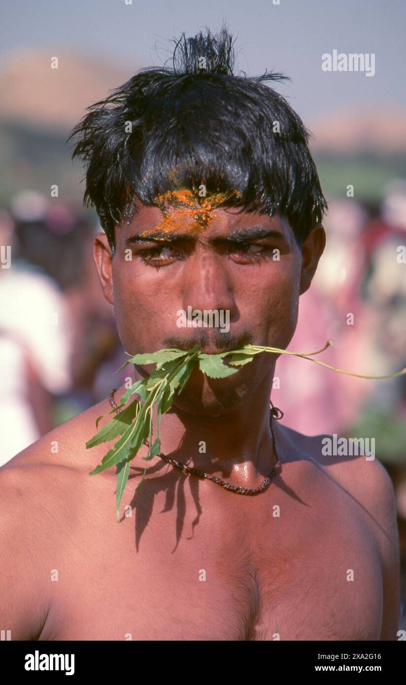 Inde : un dévot de la déesse Yellamma avec des feuilles de neem, Festival Poornima tenu près du temple Yellamma, Saundatti, Karnataka (1994). Chaque année, au mois hindou de Magh (janvier - février), plus d'un demi-million de personnes se rassemblent autour du petit temple de la déesse Yellamma à Saundatti. Yellamma est la patronne des devadasi ou des femmes dédiées au service d'une divinité ou d'un temple. Banque D'Images