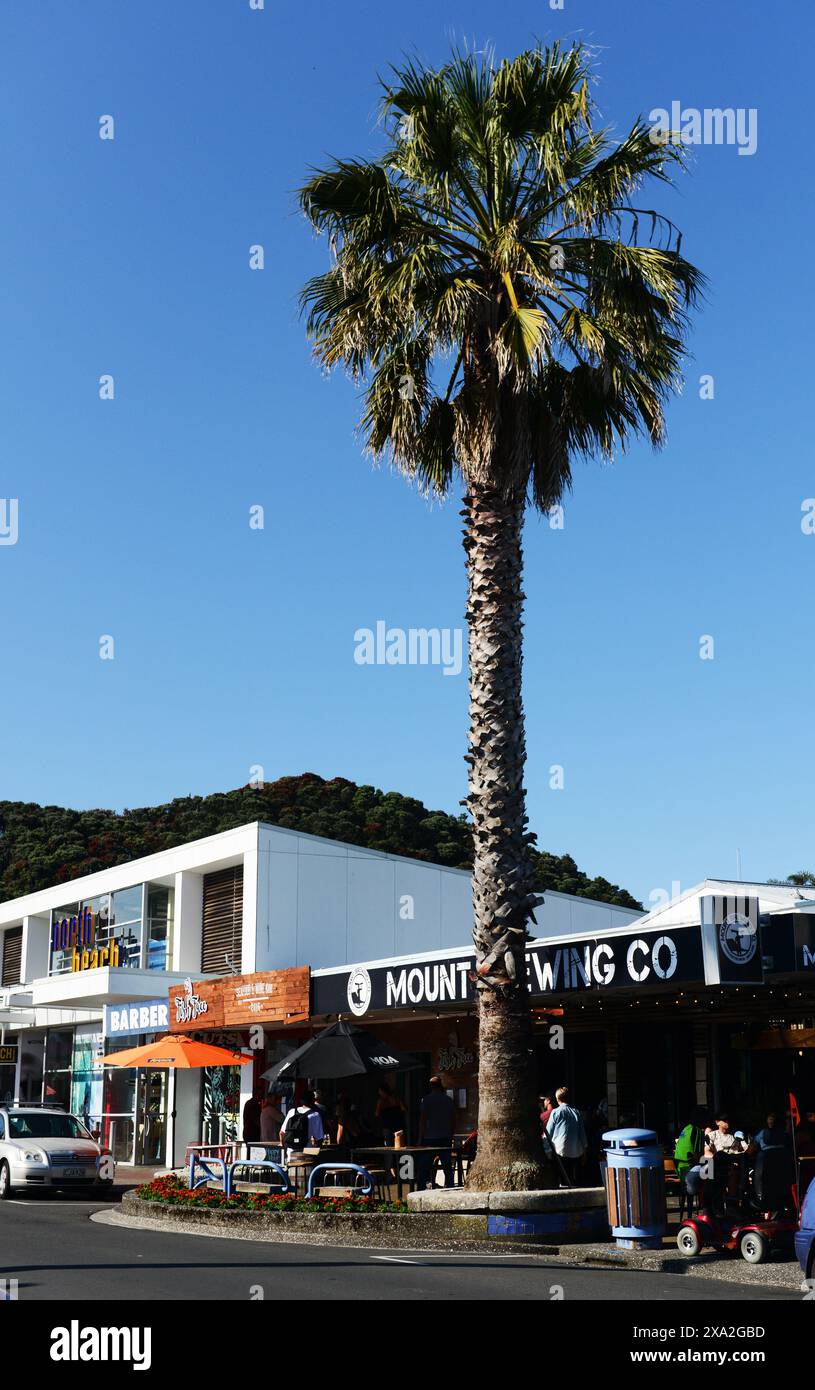 Le bar et restaurant Brew Co. animé sur Maunganui Road, Mount Maunganui, Nouvelle-Zélande. Banque D'Images