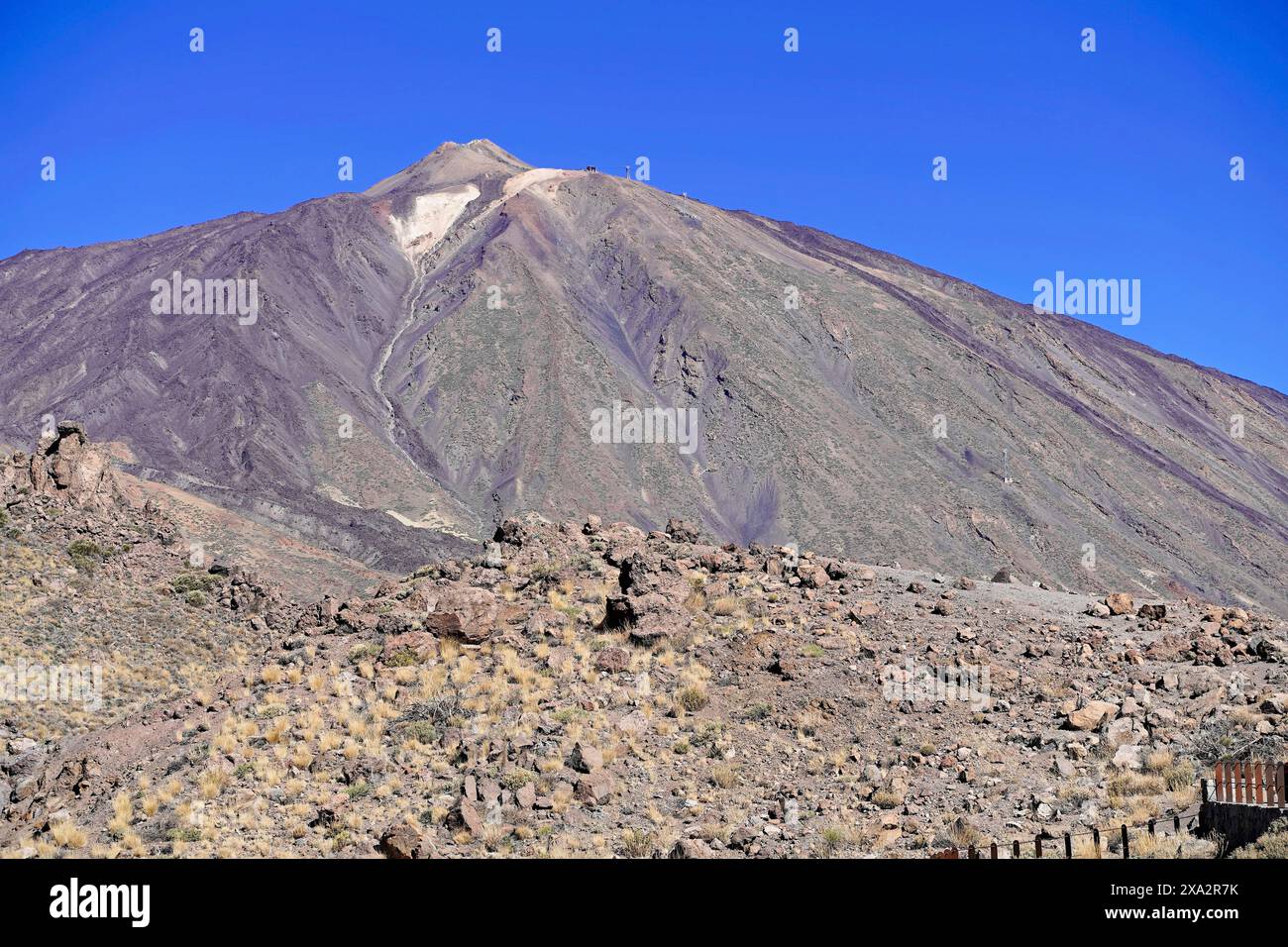 Sur le chemin du Mont Teide, El Teide, Pico del Teide, volcan dans le parc national du Teide sur Tenerife, îles Canaries, Espagne, Europe, Un frappant Banque D'Images