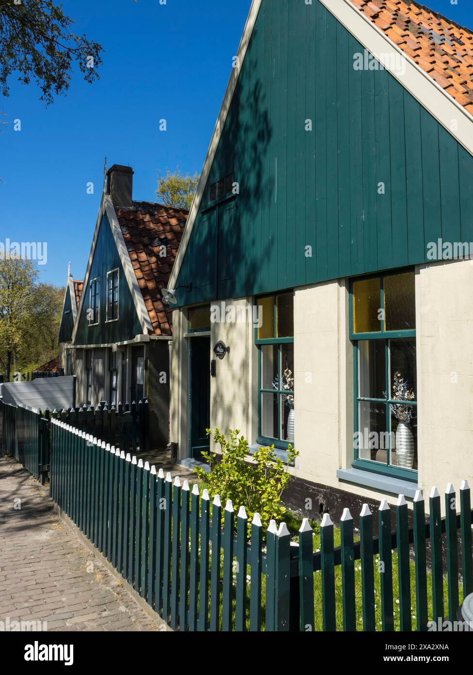 Maisons vertes traditionnelles avec clôtures blanches le long d'une rue dans un village ensoleillé, Enkhuizen, Nirderlande Banque D'Images