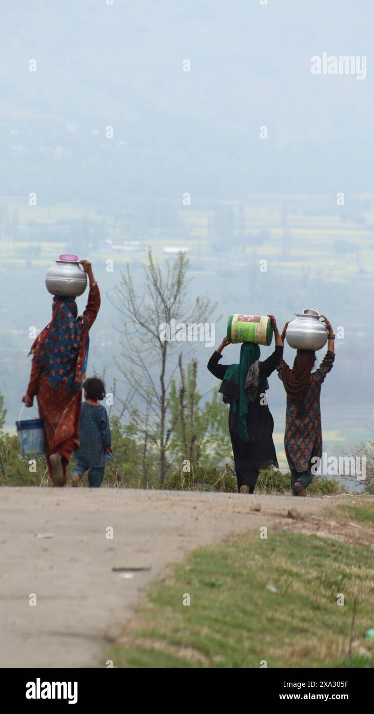 Groupe de personnes marchant le long d'un chemin transportant des conteneurs d'eau dans une zone rurale sereine, portant des vêtements traditionnels, Jammu-et-Cachemire, Inde Banque D'Images