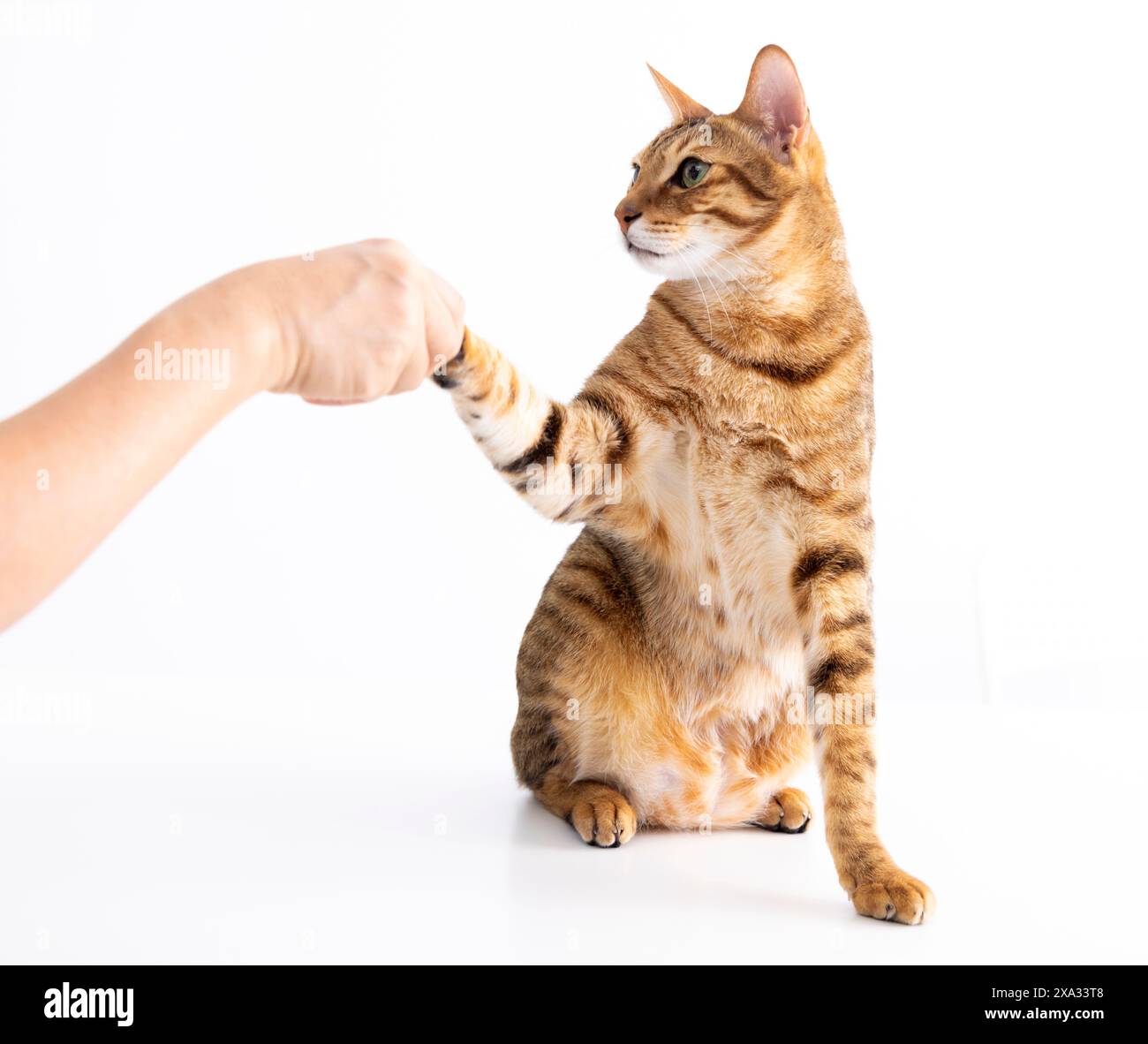 faire des mains avec des personnes sur la table Banque D'Images