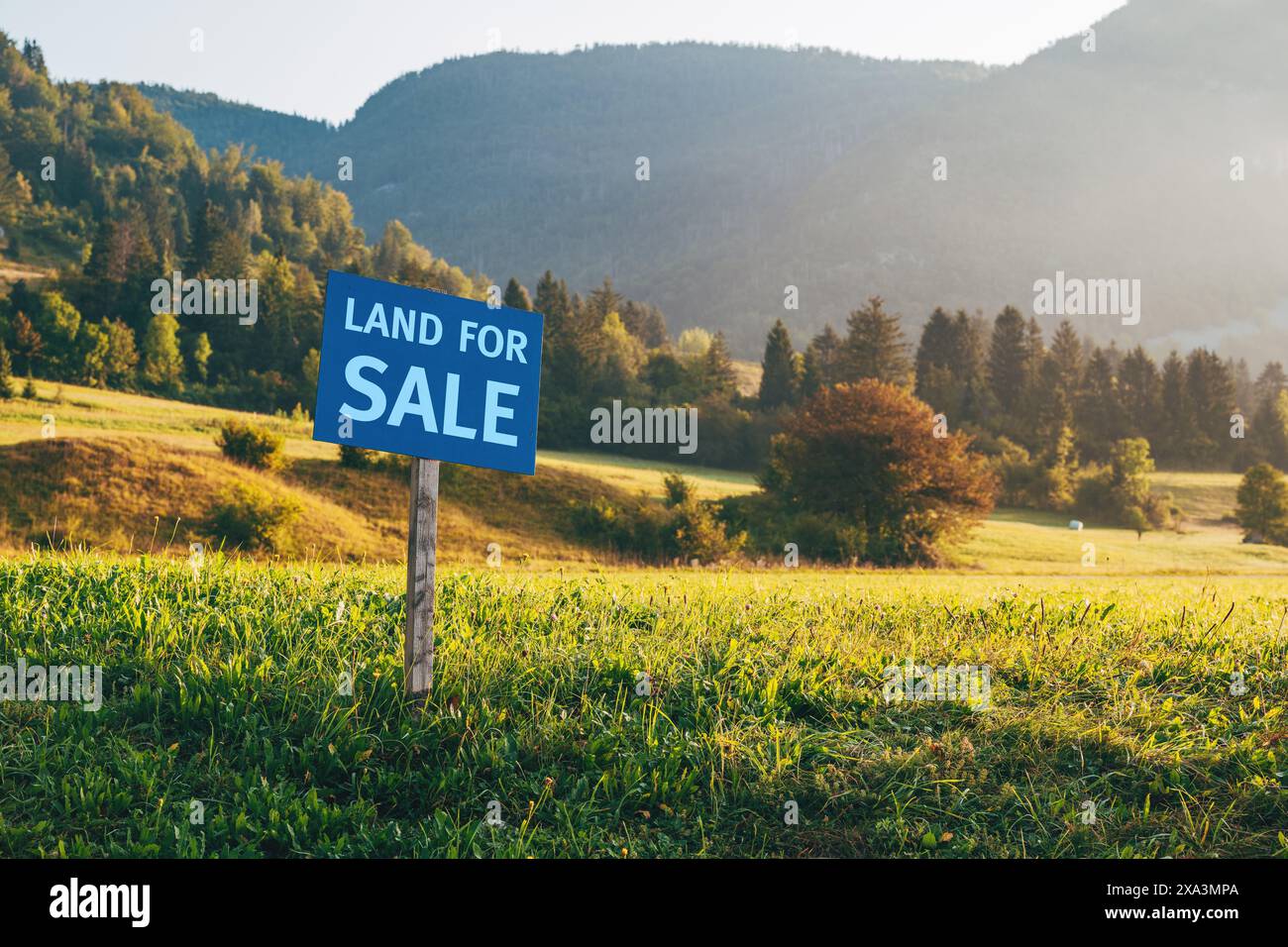 Terrain à vendre signe dans la prairie en été matin, focus sélectif Banque D'Images