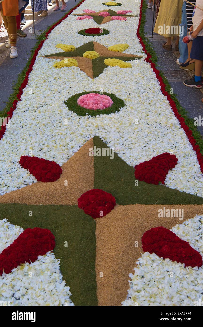 Cette image capture un tapis de fleurs vibrant et coloré disposé dans des motifs géométriques lors d'un événement culturel en plein air. Les figures floues des spectateurs peuvent b Banque D'Images
